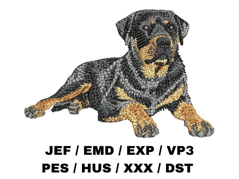 Rottweiler 2 - Full Body