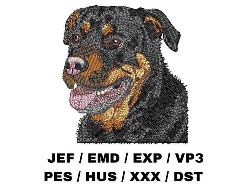 Rottweiler 3