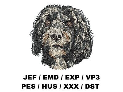 Portuguese Water Dog 1