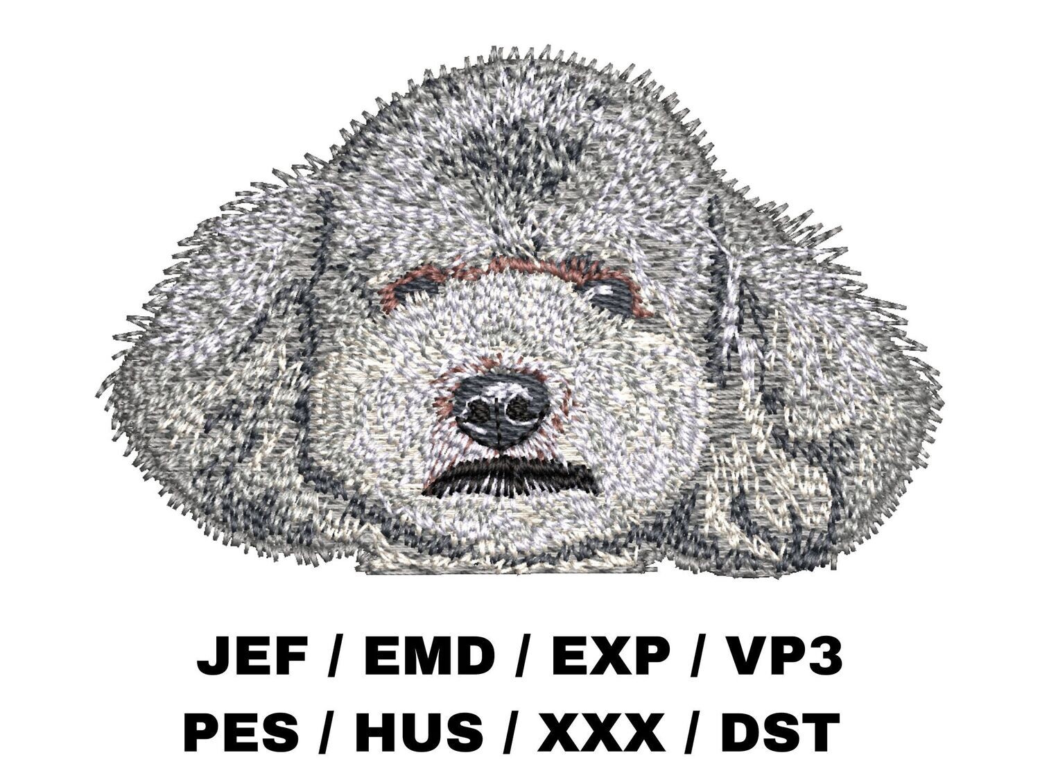 Poodle 3