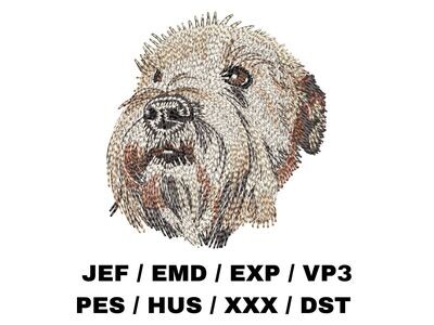 Soft Coated Wheaten Terrier 1