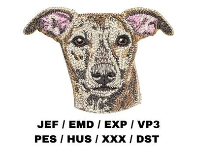 Whippet 1
