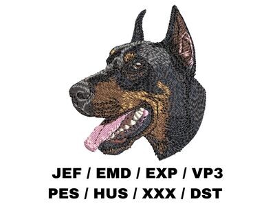 Doberman Pinscher 3