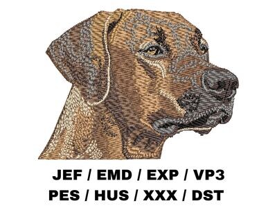 Rhodesian Ridgeback 1