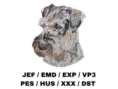 Standard Schnauzer 1