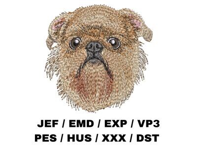 Brussels Griffon 1