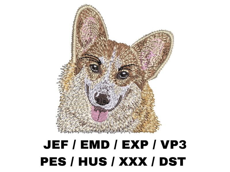 Pembroke Welsh Corgi 2