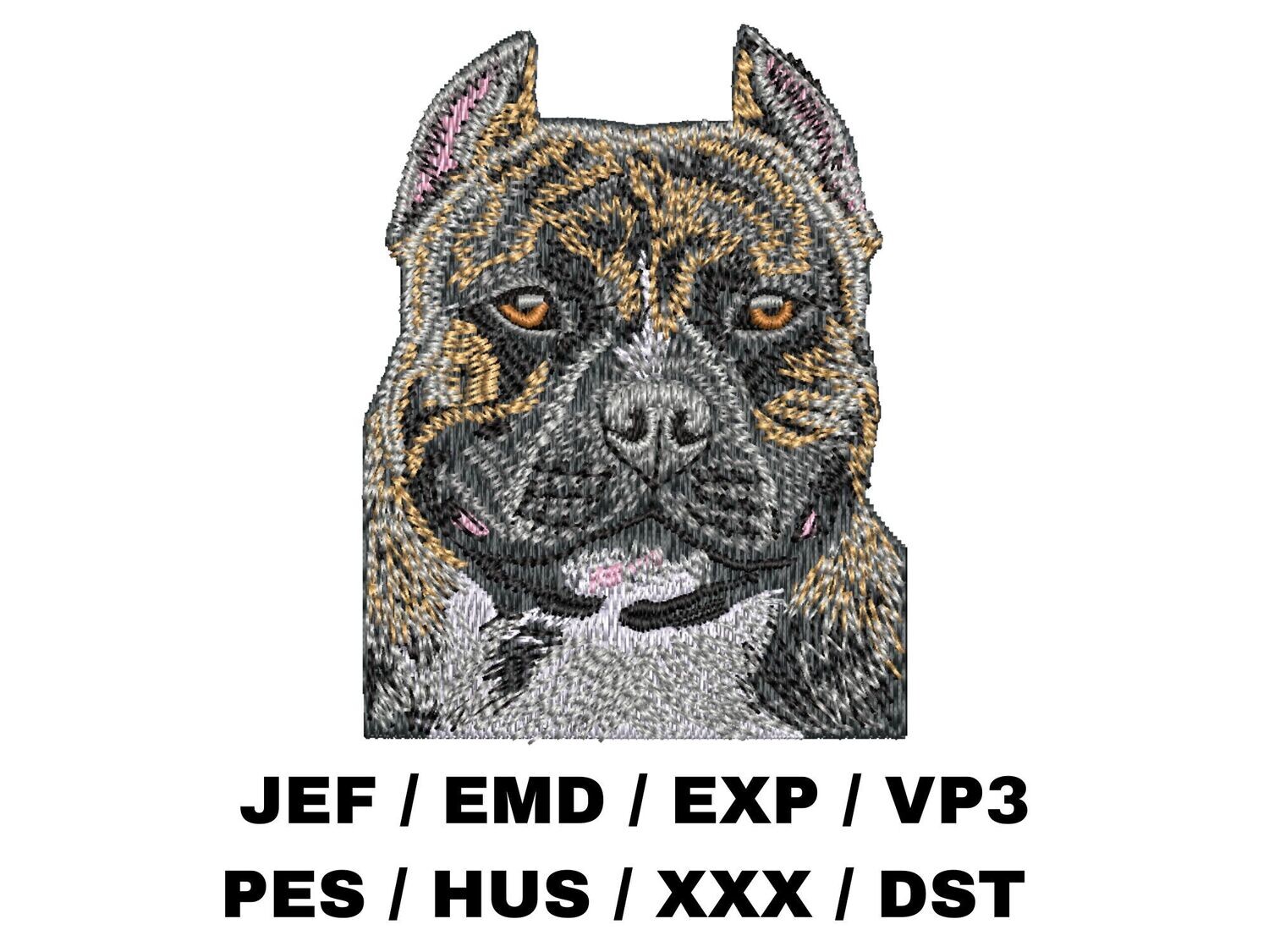 American Bully 2