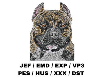 American Bully 2