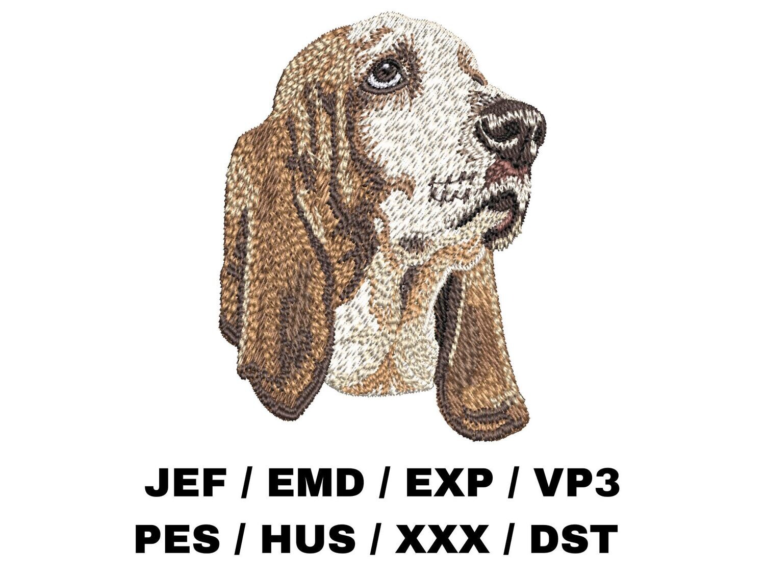 Basset Hound