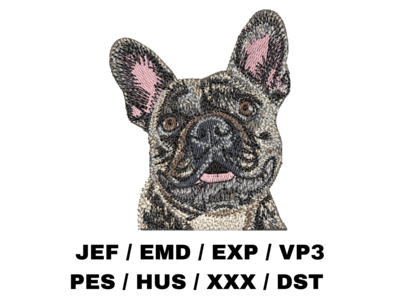 French Bulldog 6