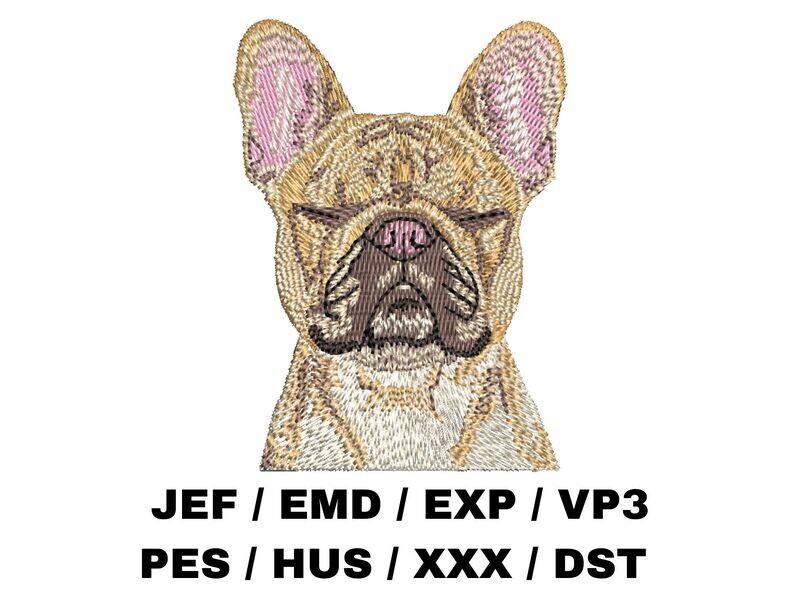 French Bulldog 2