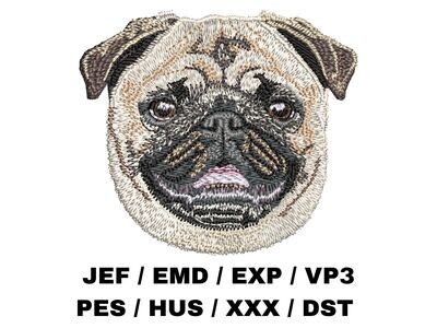 Pug 4