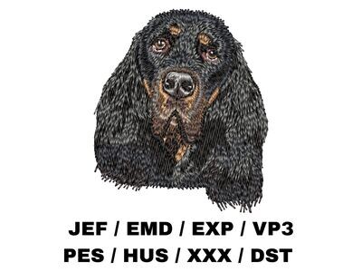 Gordon Setter