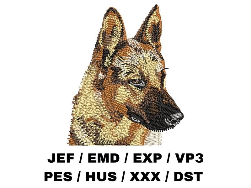 German Shepherd 2