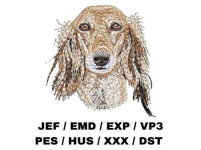 Borzoi