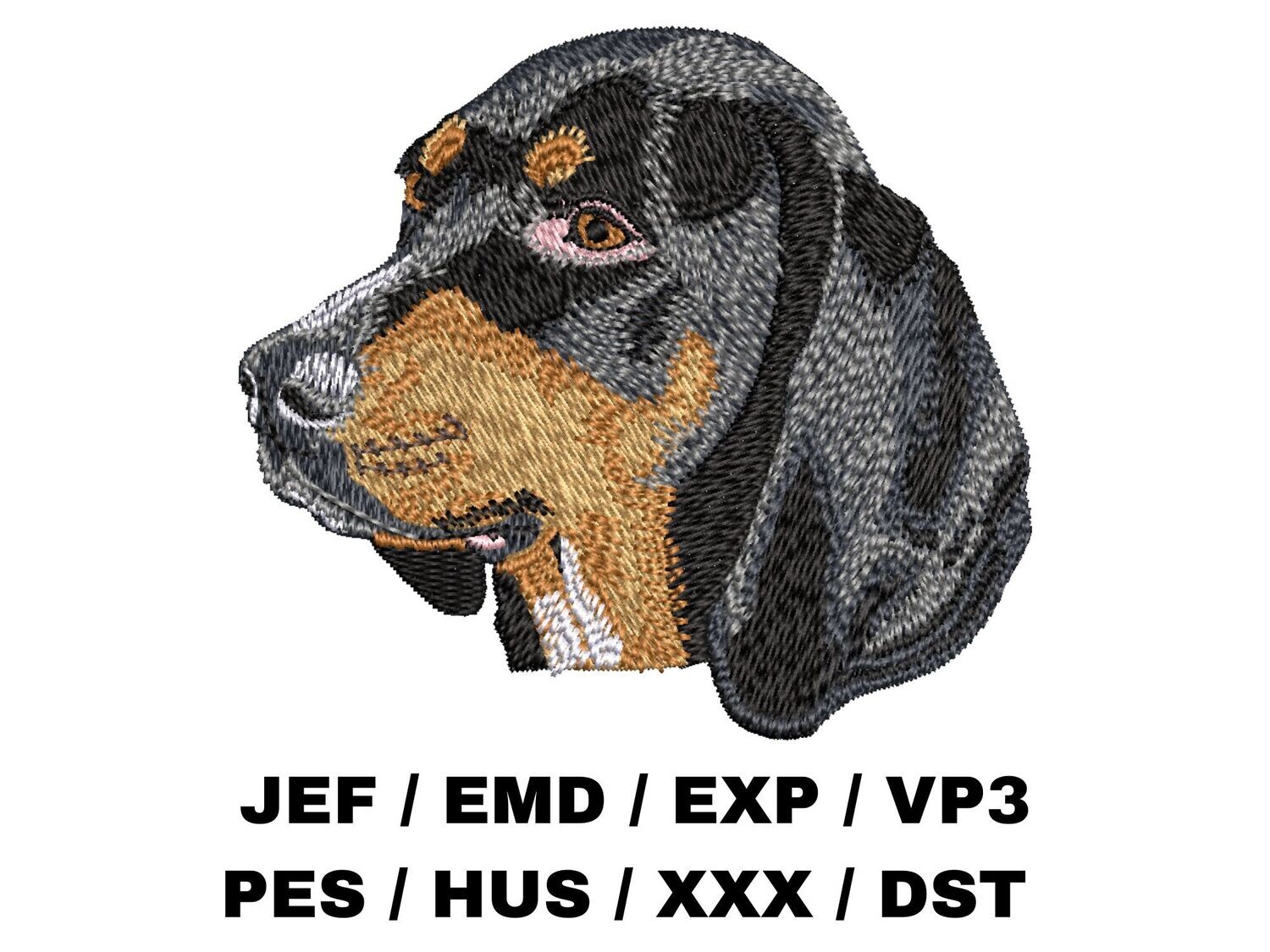 Black and Tan Coonhound