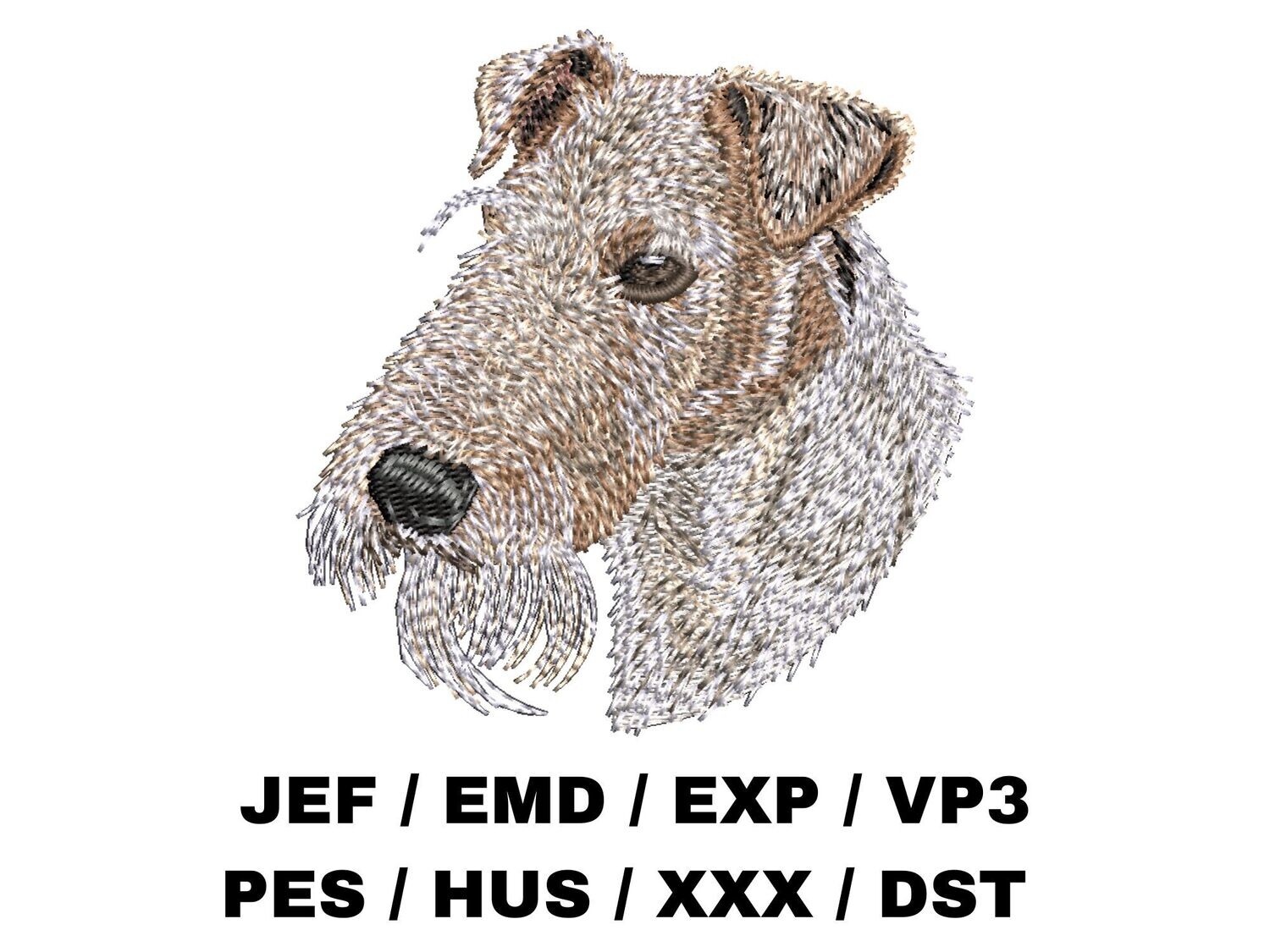 Wire Fox Terrier
