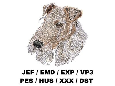 Wire Fox Terrier