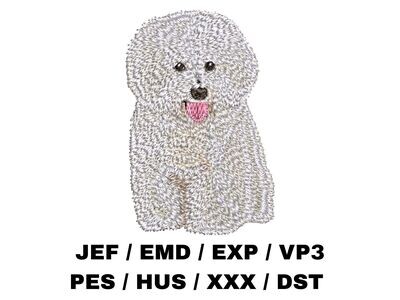 Bichon Frise 2 - Full Body