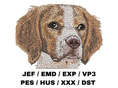 Brittany Spaniel