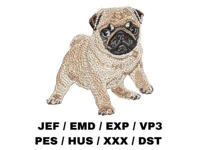 Pug Puppy - Full Body