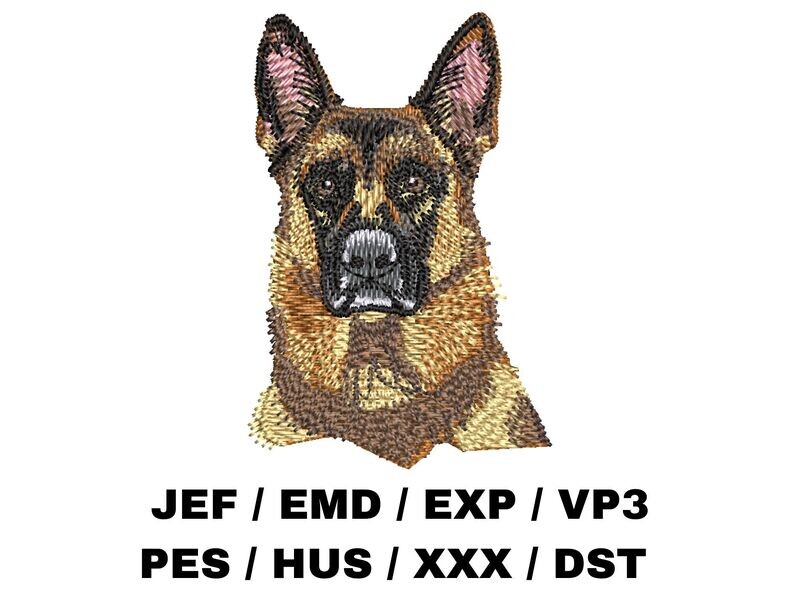German Shepherd 1