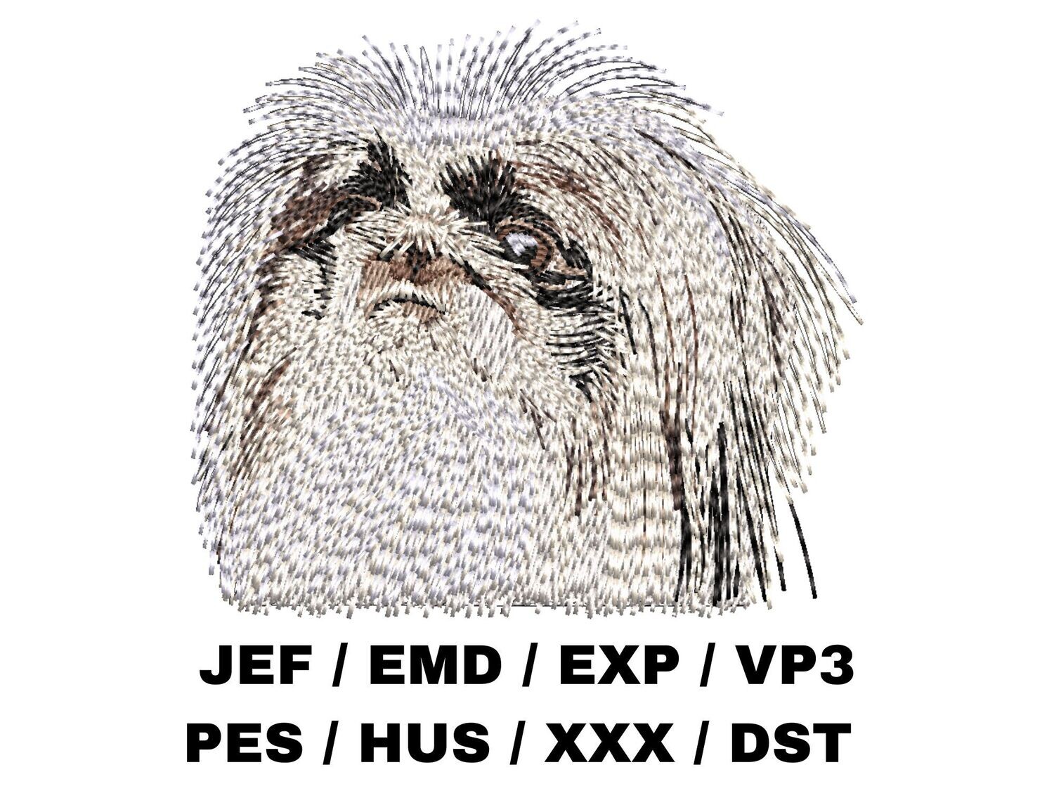Pekingese 1