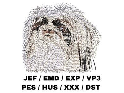 Pekingese 1