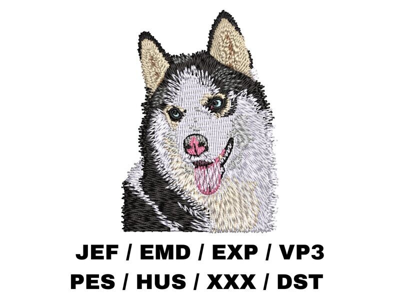 Siberian Husky 2