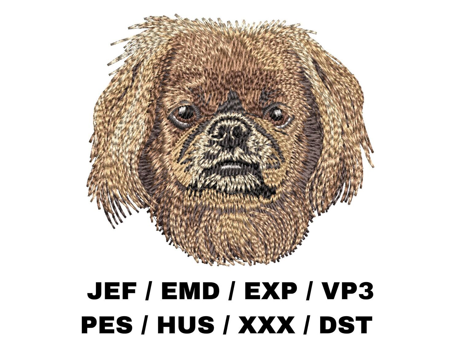 Pekingese 2