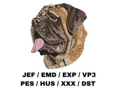 English Mastiff 1