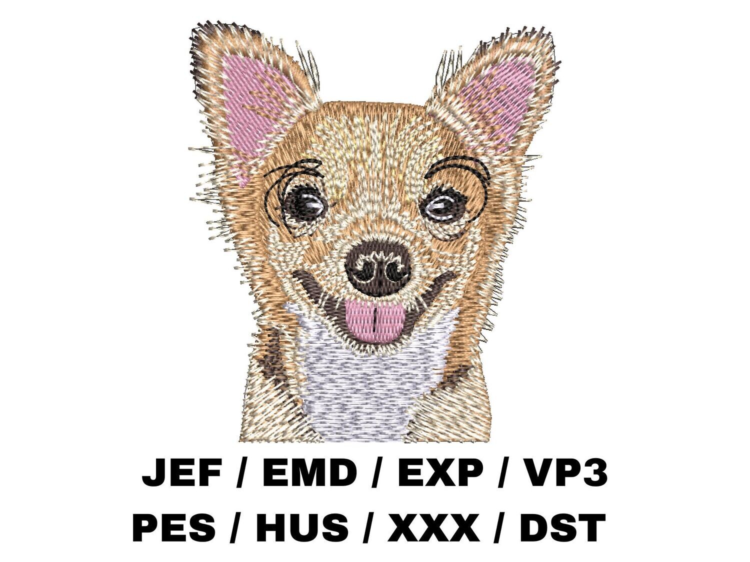 Chihuahua 3