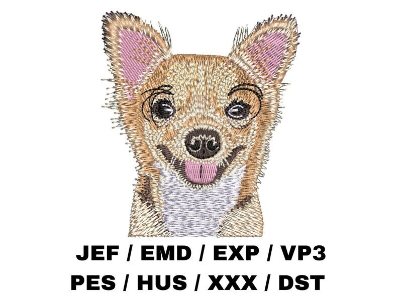 Chihuahua 3