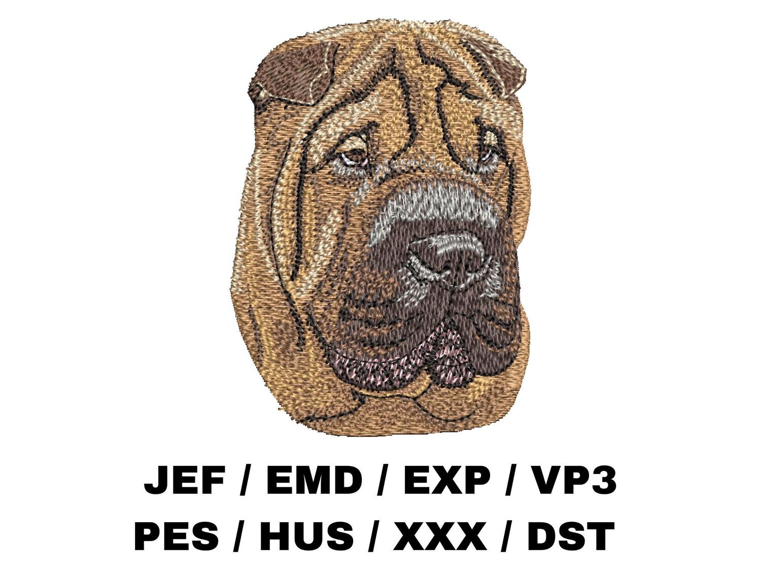 Chinese Shar-Pei 1