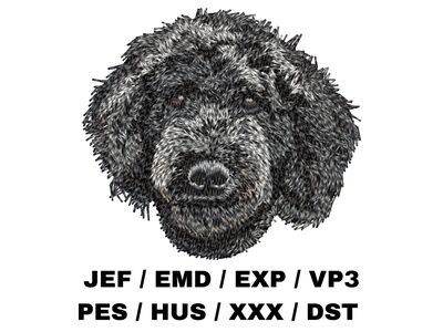 Poodle 4