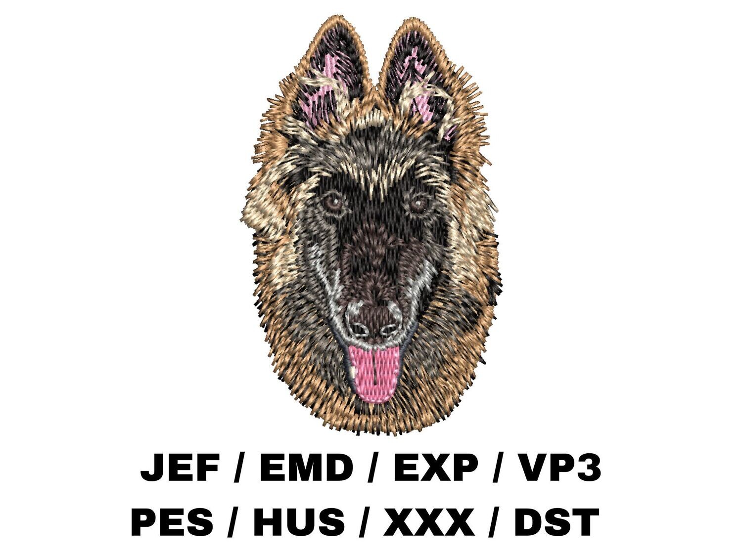 Belgian Tervuren 1