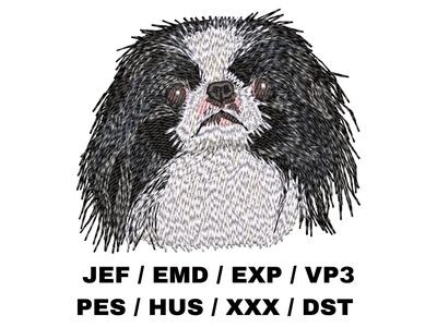 Japanese Chin