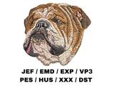 English Bulldog 3