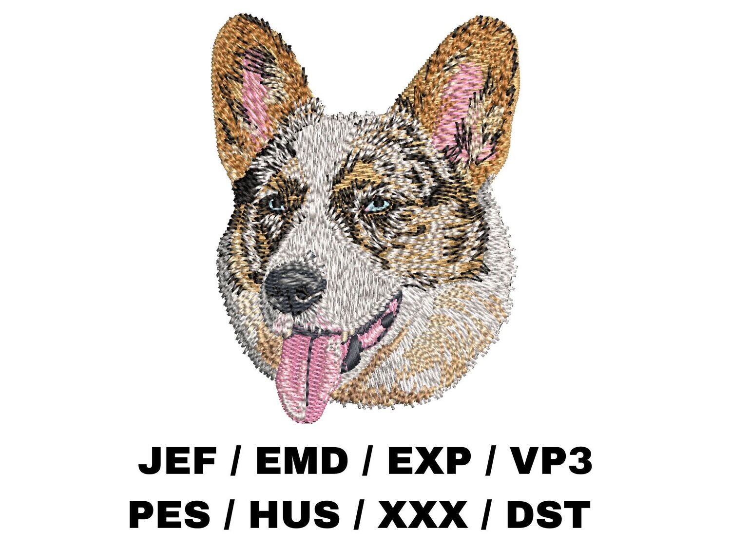 Cardigan Welsh Corgi, Blue Merle
