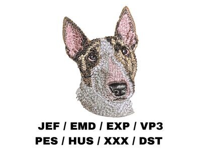 Miniature Bull Terrier