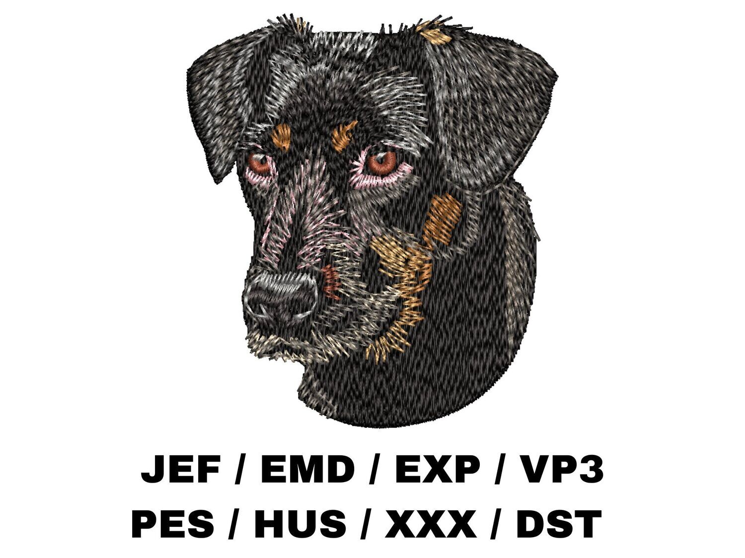 Beauceron 1