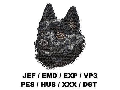 Schipperke