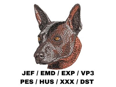 Xoloitzcuintle