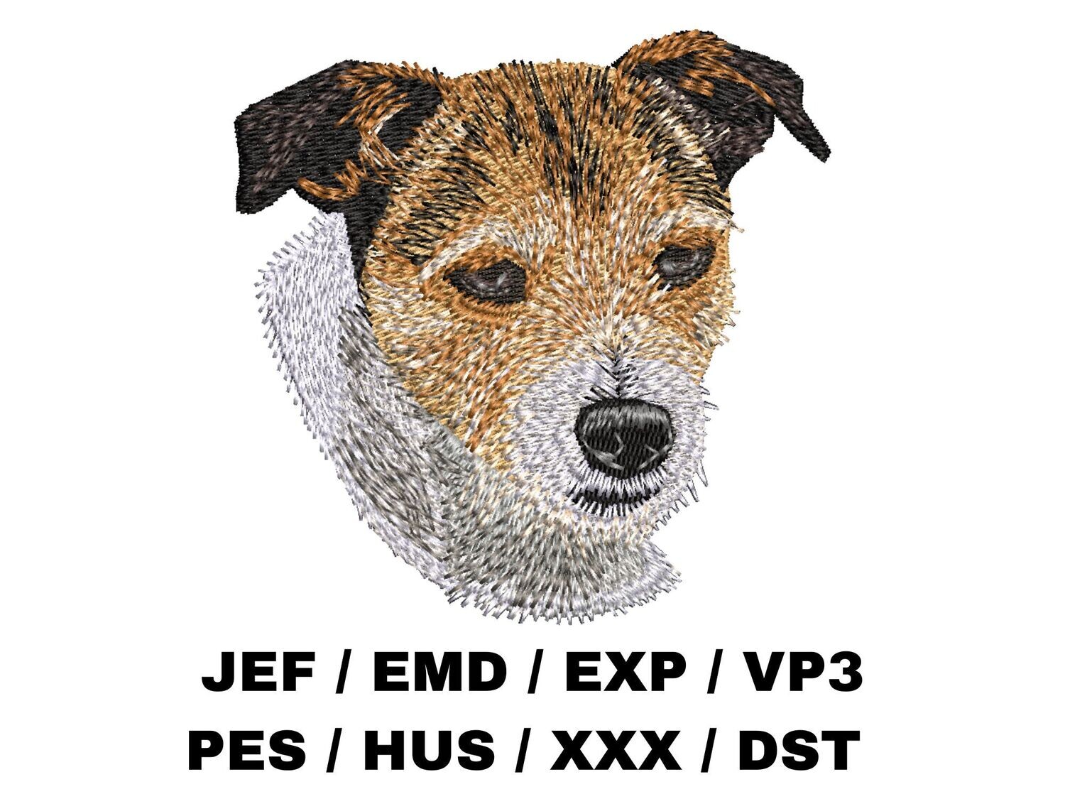 Parson Russell Terrier
