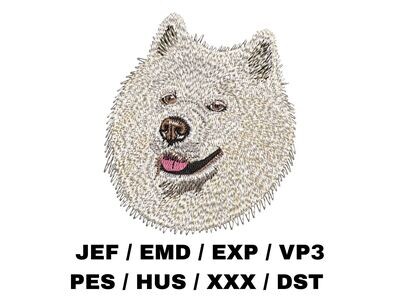 Samoyed