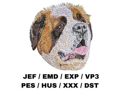 St. Bernard 1