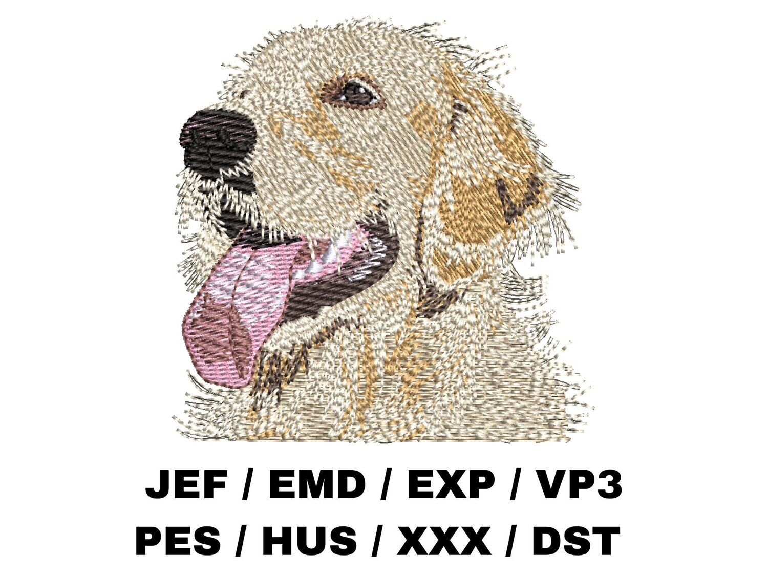 Golden Retriever 1