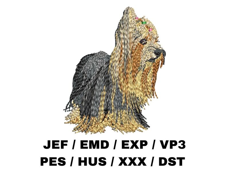 Yorkshire Terrier 1 - Full Body