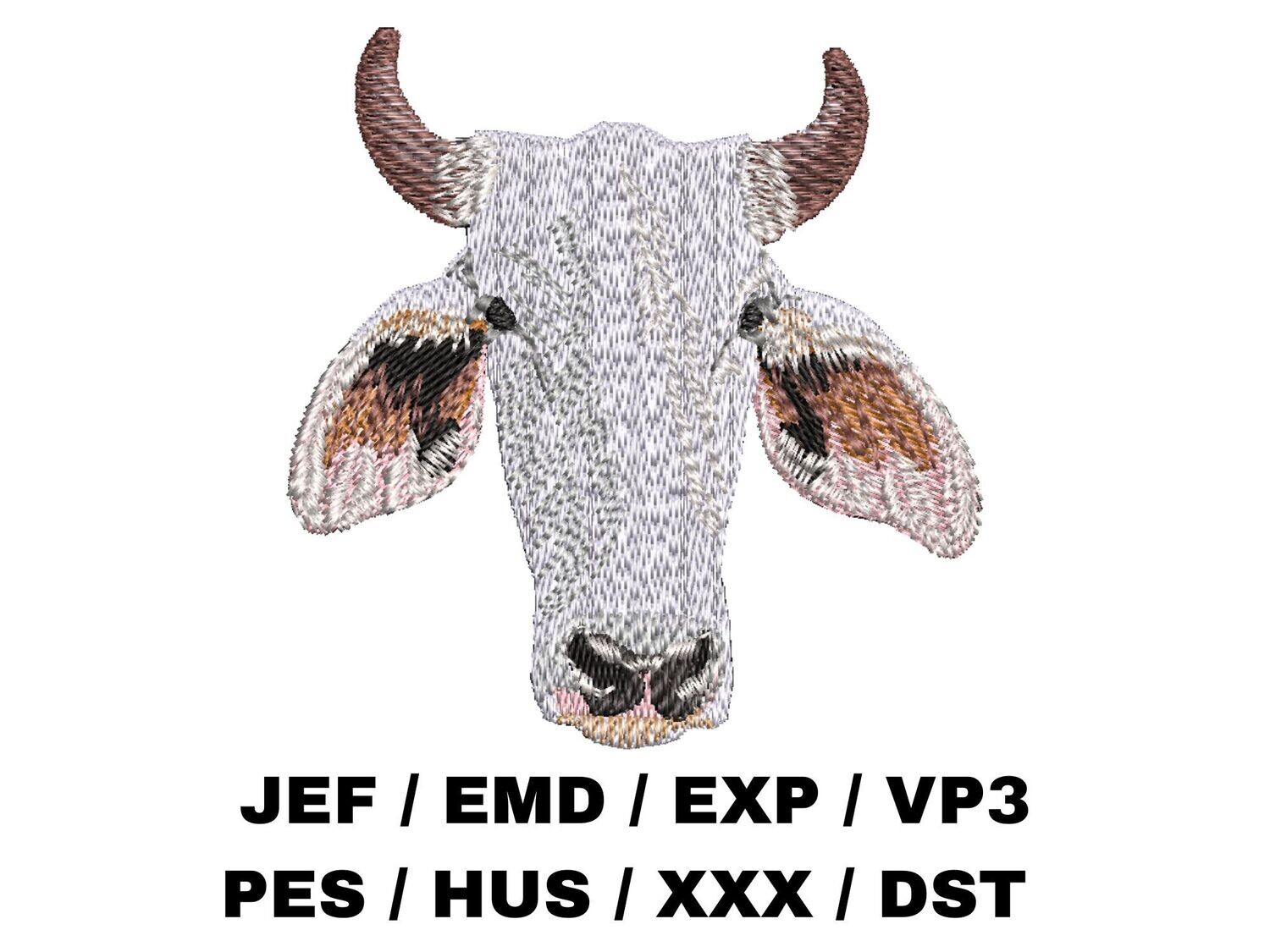 Brahman Cattle